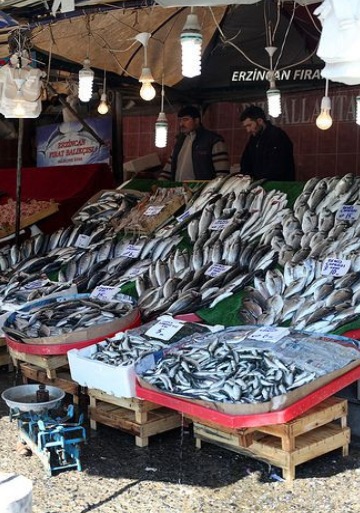 Chintadripet Fish Market